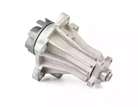 BSG 30-500-006 BSG Водяной насос